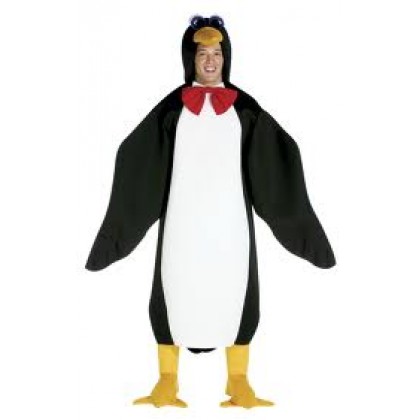 Pingvinas G  28 nuoma